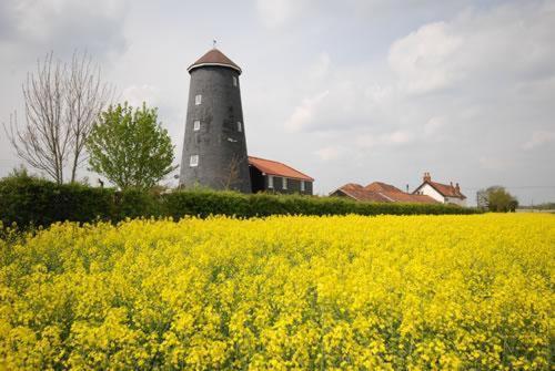 Yaxham Mill Bed & Breakfast Dereham Ngoại thất bức ảnh